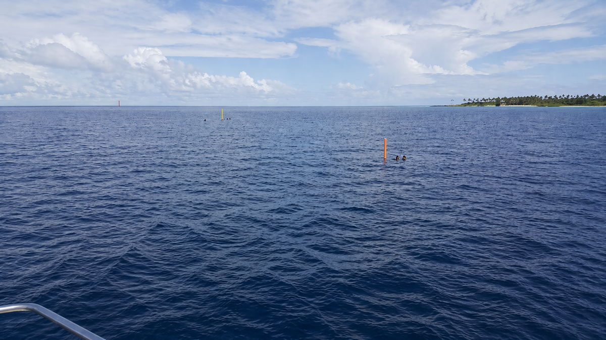 Why Every Diver Should Carry an SMB