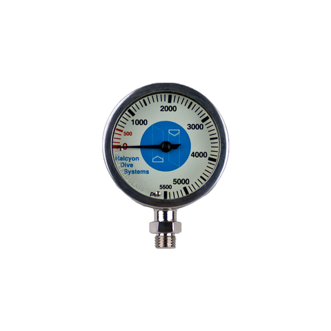 Master Submersible pressure gauge, 0-5500 psi