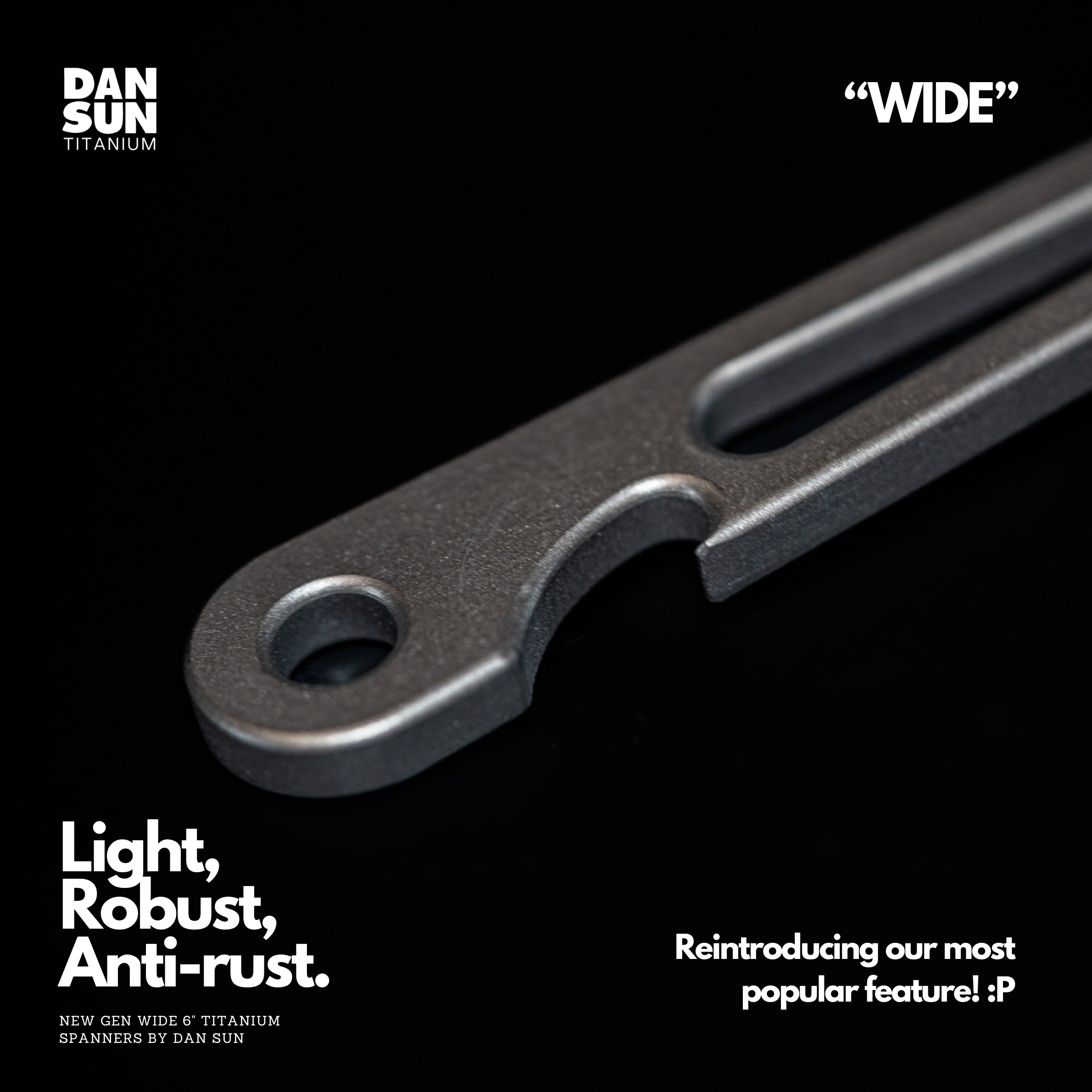DAN SUN WIDE 6" Titanium Adjustable Spanner